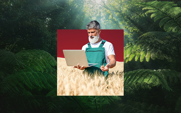 The R&D&I loan is a finance solution aimed at owners of agricultural operations.
